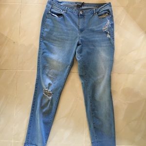 Ashley Stewart Jeans